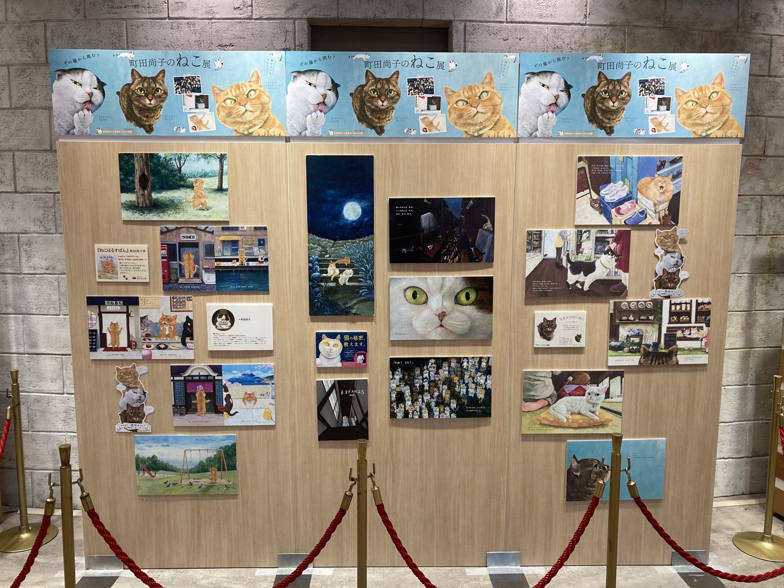 絶賛展開中だニャ！三省堂書店東京ソラマチ店様 | 「町田尚子の猫絵本